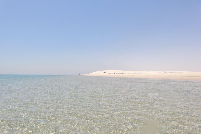 Full Day Desert Safari Doha/dinner included - Side-by-side vehicles and quad biking add control