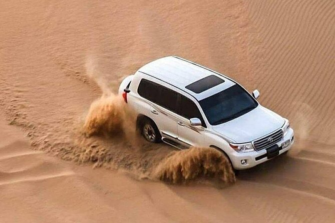 Full Day Desert Safari with Camp Access, Buffet Dinner,Camel Ride - What $194.50 buys you