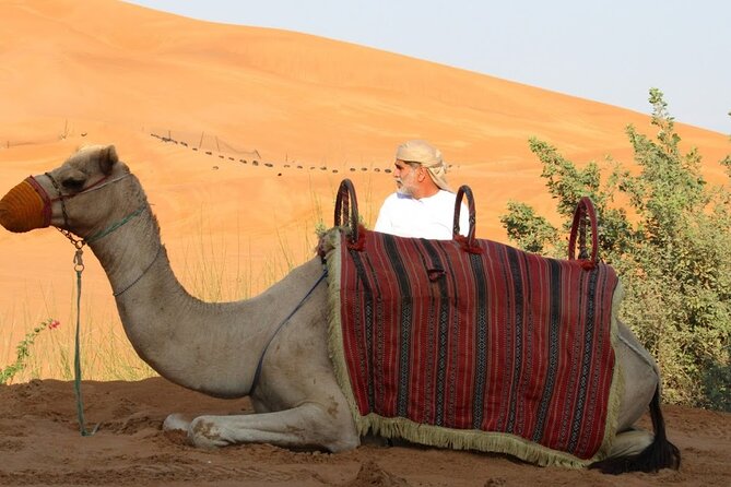 Full Day Desert Safari with Camp Access, Buffet Dinner,Camel Ride - Who will enjoy this day most
