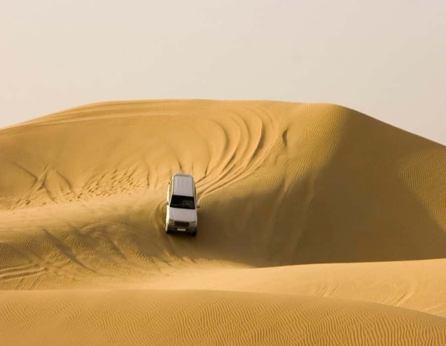 Full day desert safari with lunch or Dinner - What the $151 price really covers