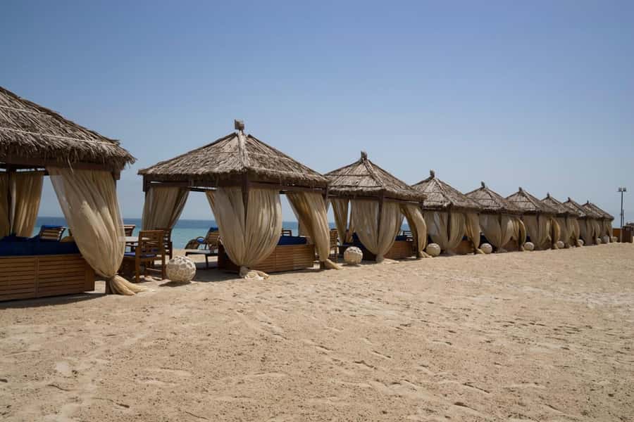 Full day desert safari with lunch or Dinner - Timing, comfort, and the three-hour question