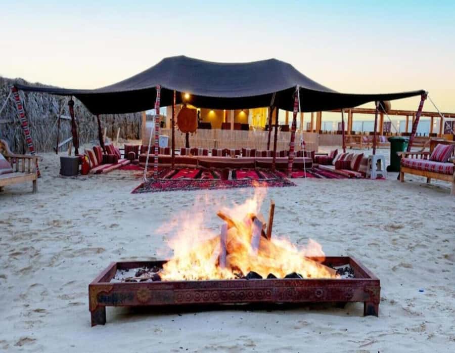Full day desert safari with lunch or Dinner - The guides can shape your whole day