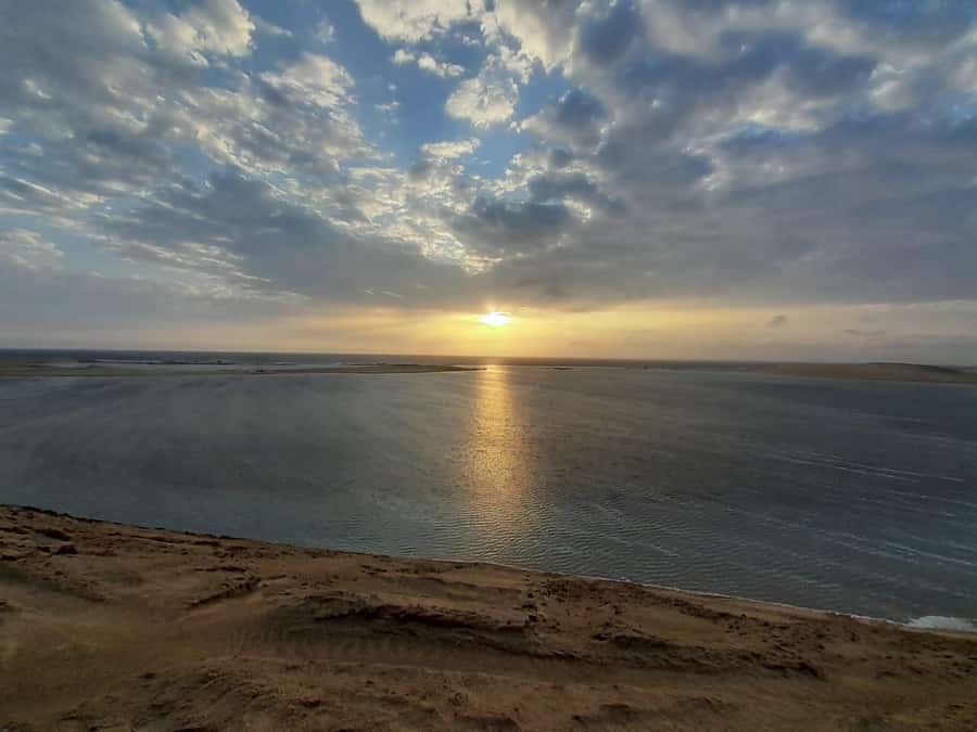 Full day desert safari with lunch or Dinner - Who should book this safari?