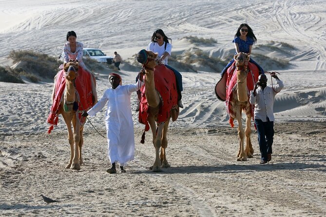 Full-day Qatar desert safari: dune bashing, sandboarding, camels - Sealine Beach and the start of the off-road ride