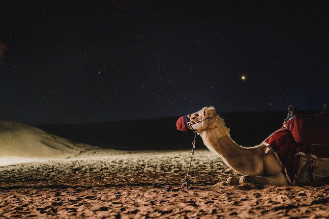 Full Day Qatar North and Desert Safari with pickup - Al Shamal and the traditional village