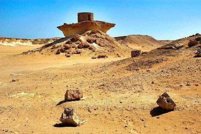 Full Day Qatar's North And West tour || History & Heritage - Why this tour matters beyond Doha