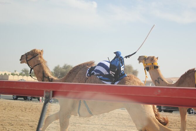 Full-Day Tour Qatar North And West - Serra’s steel sculpture changes the scale of the desert