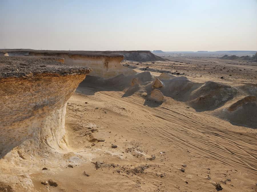 Full Day Tour to Qatar North and West / History and Heritage - Al Shahaniya Camel Racetrack