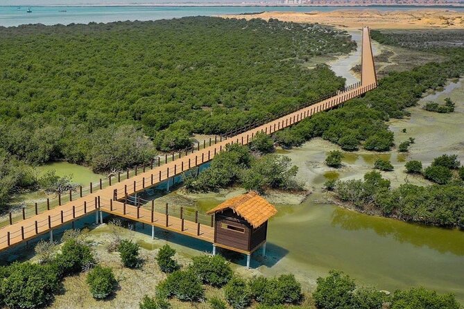 Full Day Tour to Qatar North And West With Pickup From Doha - The long drive from north to west