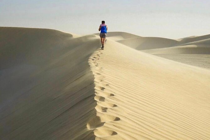 Half Day Desert Safari and Inland Sea - Practical tips for a smoother outing