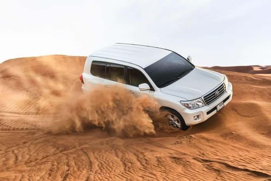 Half-Day Desert Safari For Cruise Ships Passngers. - Key points to know before you go