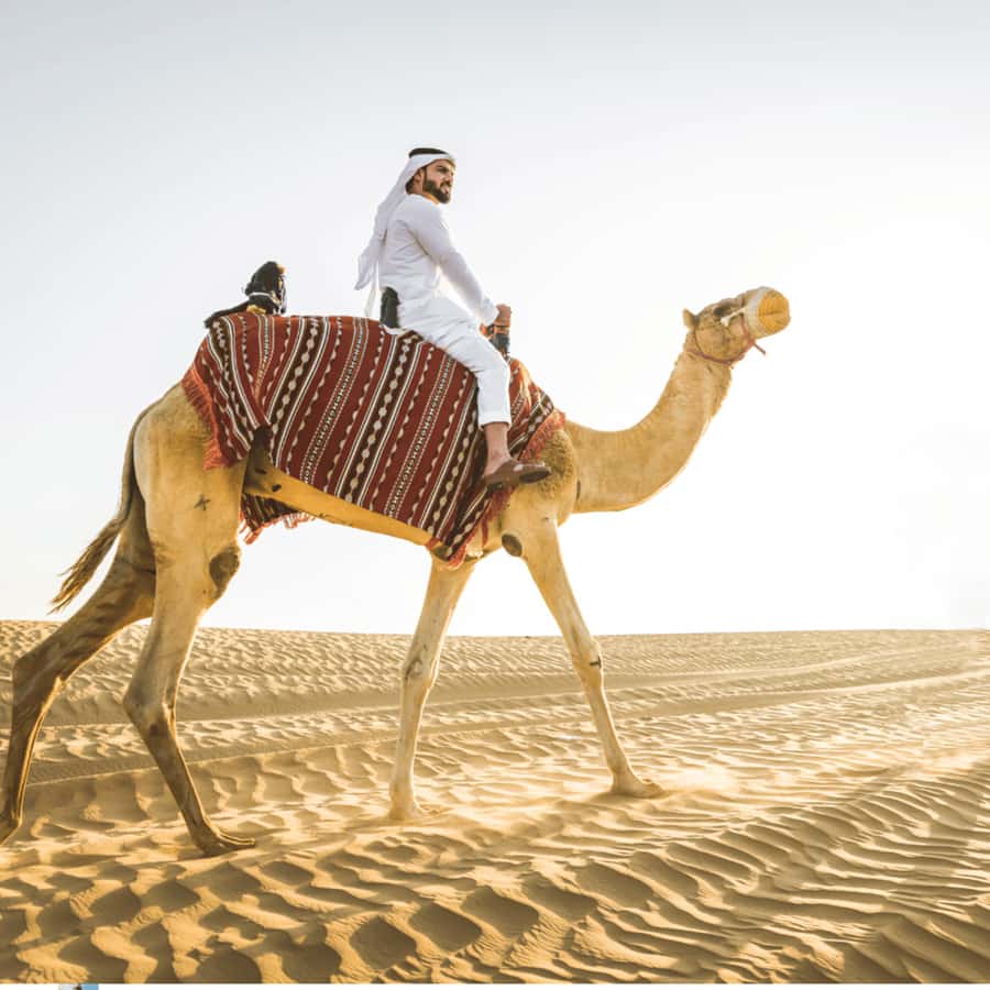 Half-Day Desert Safari For Cruise Ships Passngers. - A smart desert choice for a day in port