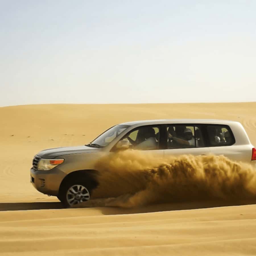 Half-Day Desert Safari For Cruise Ships Passngers. - Meeting at Mina Hotel, five minutes from the terminal