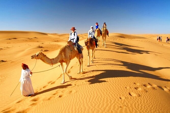 Half Day Desert Safari with Sand Boarding and Camel Ride - Sand boarding on soft, shifting slopes