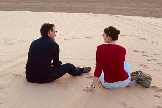 Half Day Desert Safari - Sealine: tires, camels, and falcons