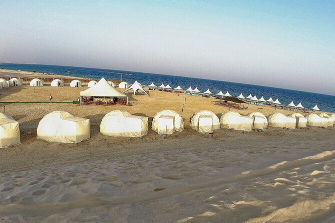 Half Day Desert Tour with Camel Ride - Quick Takeaways