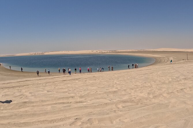 Half Day Night and Morning Desert Safari Camel and Sand Boarding - Who should book this desert safari?