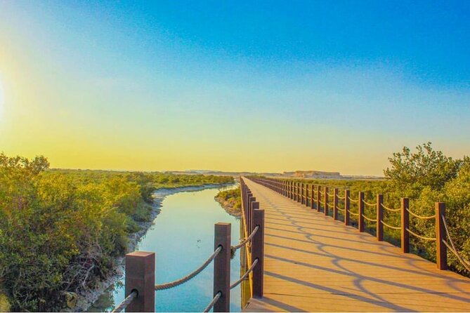 Half-Day North Qatar Tour - Purple Island: ancient remains and modest scenery