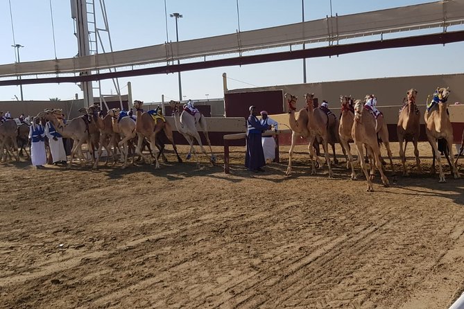 Half-Day Private Guided Camel Race Tour in Qatar - The 6am or 10am choice