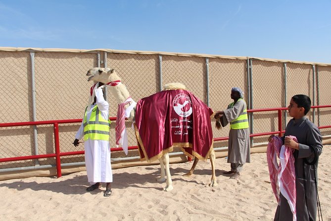 Half-Day Private Guided Camel Race Tour in Qatar - The guide can make or break the morning