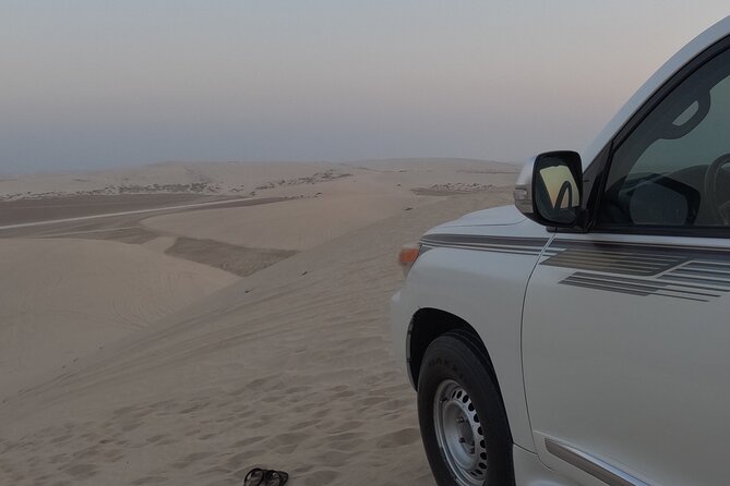 Half Day Safari Tour With Camel Ride and Sand Boarding in Doha - Sandboarding gives you a hands-on activity