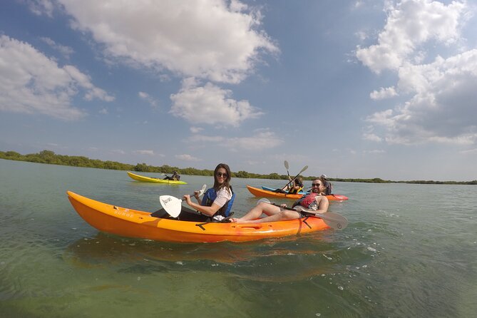 Mangrove Kayaking Purple Island Adventure - The mangroves are the main attraction