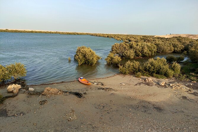 Mangrove Kayaking Purple Island Adventure - Kayak comfort and physical demands