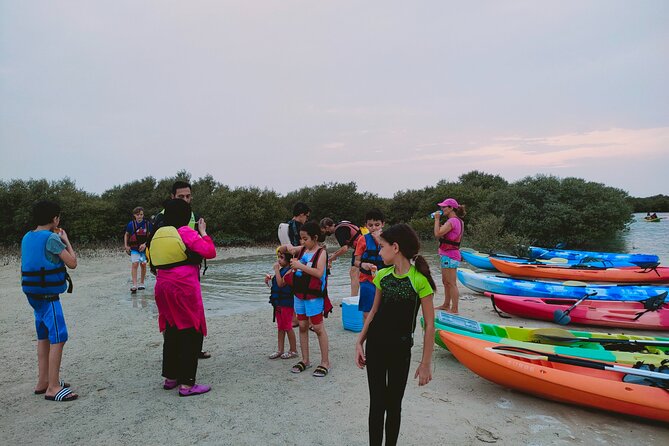 Mangrove Kayaking Purple Island Adventure - Price, transport, and what you actually receive