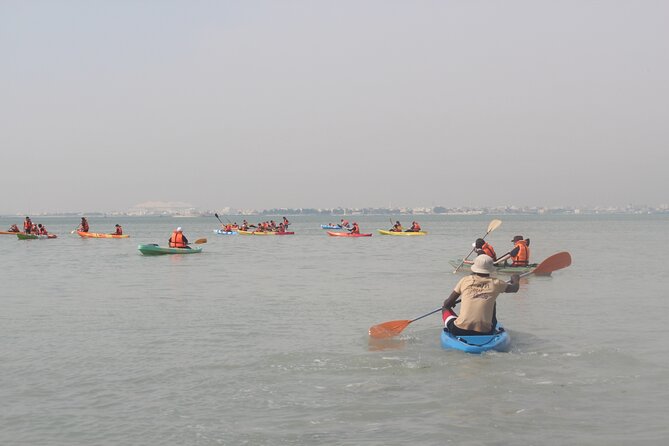 Mangrove Kayaking Purple Island Adventure - Pickup problems deserve careful attention