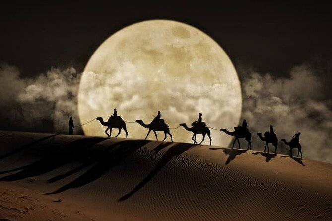 Night Desert Safari, Stargazing, Dune Driving & Inland Sea Visit - Key points to know before booking