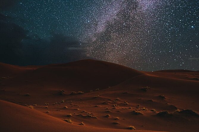 Night Desert Safari, Stargazing, Dune Driving & Inland Sea Visit - Guides make the biggest difference