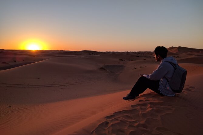 No Rush Desert Safari: 6-Hour Adventure & Inland Sea Relaxation - Dune bashing across Qatar’s golden sand
