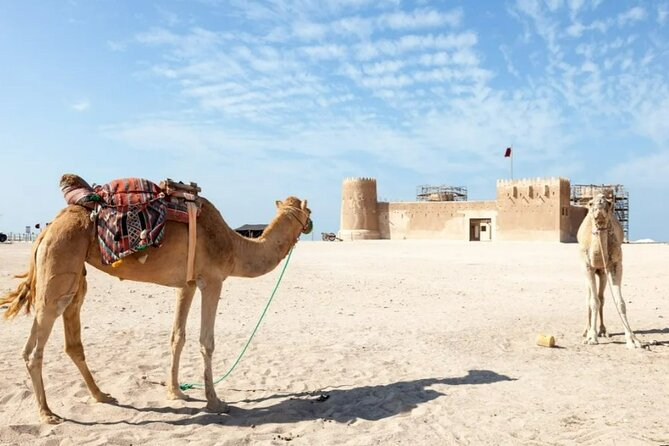 North of Qatar Tour to Olafur Eliasson Zubara Fort Jumail Village - Long drives, small-group service, and comfort