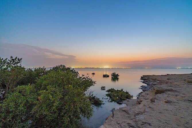 North of Qatar Tour, Zubara Fort, Mangroves, Jumail Village - Purple Island and the Al Khor mangroves