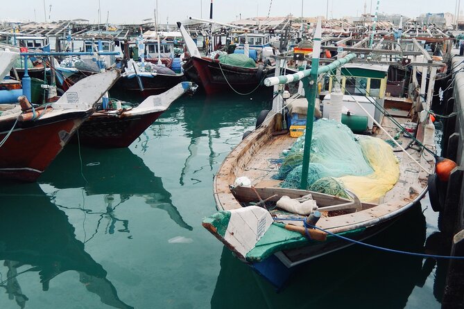 North Qatar Guided Expedition to Nature Charms - Key points to know before booking