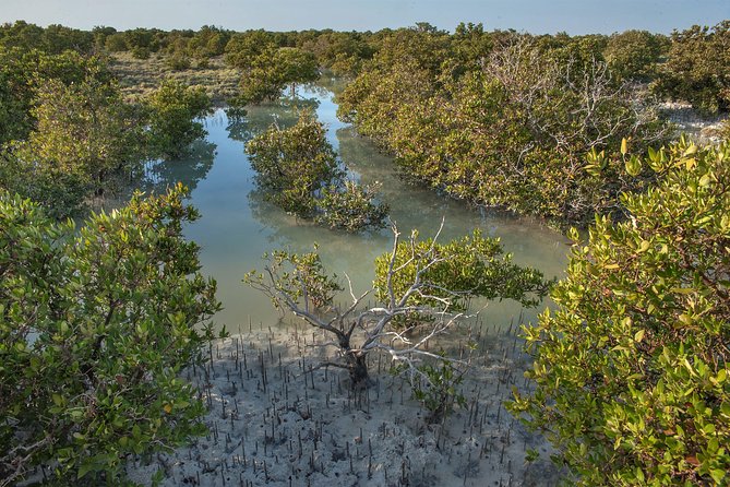North Qatar Half-Day Tour: Al Zubarah, Purple Island & Mangroves - Al Zubarah Fort delivers the strongest sense of place
