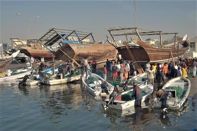 North Qatar Half-Day Tour: Al Zubarah, Purple Island & Mangroves - The guide can make or break the day