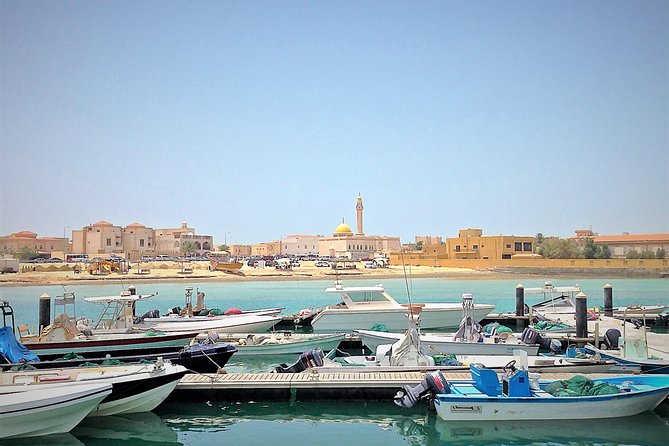 North Qatar Half-Day Tour: Al Zubarah, Purple Island & Mangroves - Who should book this northern Qatar tour?