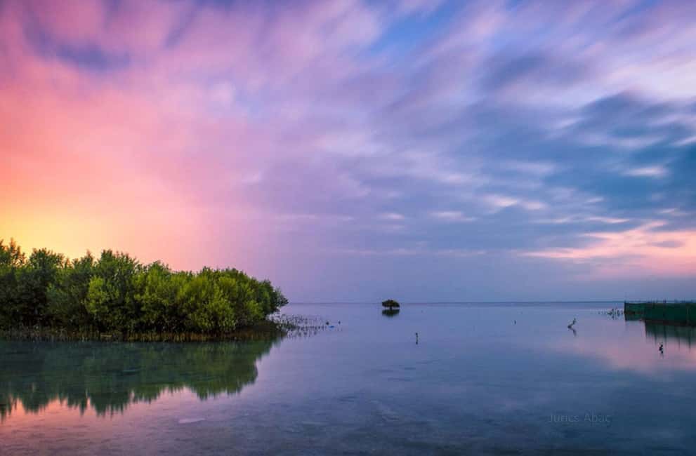 North Qatar: Zubara Fort, Jumail Village, Thakhira Mangroves - Why northern Qatar is worth your time