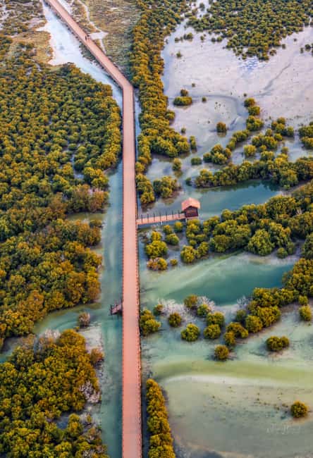 North Qatar: Zubara Fort, Jumail Village, Thakhira Mangroves - Al Jumail, an abandoned village with a human scale