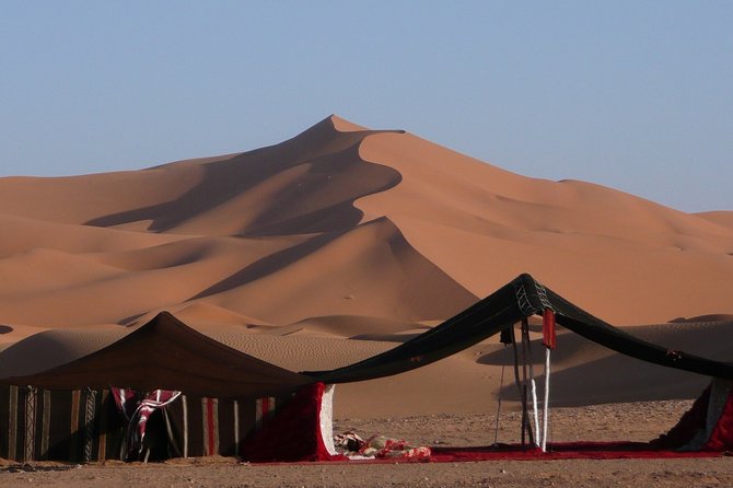 Premium Full-Day Safari, Dune Bash, Camel Ride and BBQ Meal in Desert Camp - Key things to know before you book
