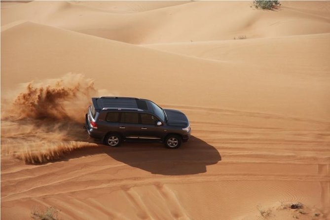 Premium Full-Day Safari, Dune Bash, Camel Ride and BBQ Meal in Desert Camp - From Doha to Sealine Beach