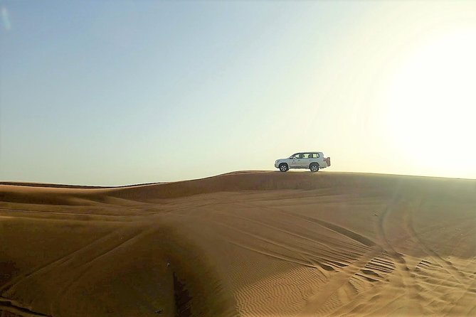 Premium Full-Day Safari, Dune Bash, Camel Ride and BBQ Meal in Desert Camp - Is the $193 price fair?
