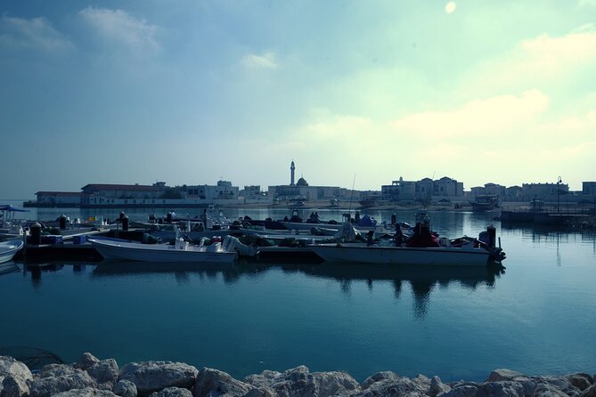 Private Combo North and West of Qatar Tour 8hours - Purple Island and its mangrove setting