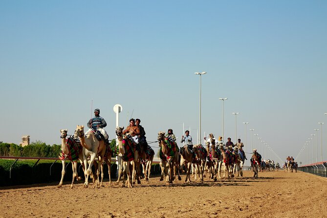 Private Combo North and West of Qatar Tour 8hours - Al Shahaniya and the camel racing tradition
