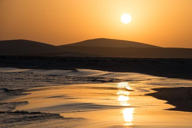 Private Desert Safari Fast Track - Why this four-hour safari works well