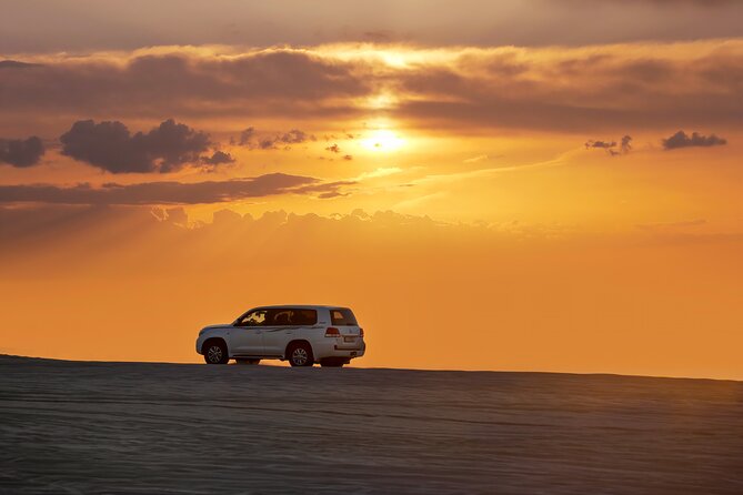 Private Desert Safari Fast Track - Sealine Beach: camels, falcons, and the first dunes