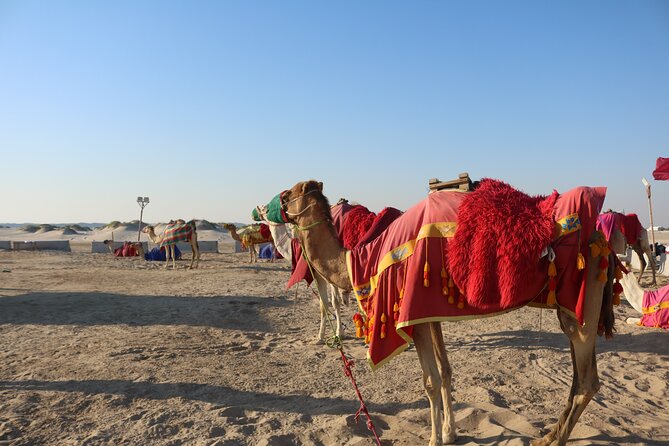 Private Desert Safari Tour 4 hours - Why the private format makes sense in Qatar