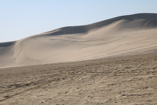 Private Desert Safari Tour 4 hours - The guide can shape the whole outing