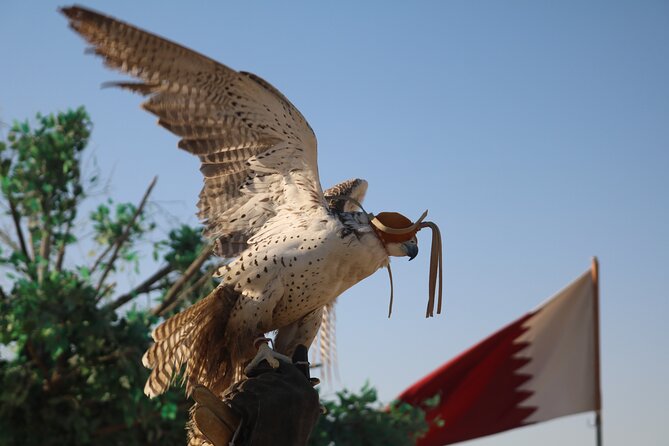 Private Desert Safari Tour 4 hours - Sunrise at Sealine Beach